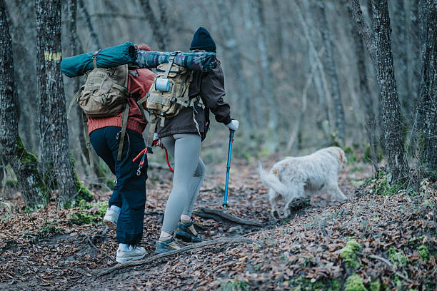 istock Two hikers with large backpacks walk a forest trail with a dog on a cool day 2253903530