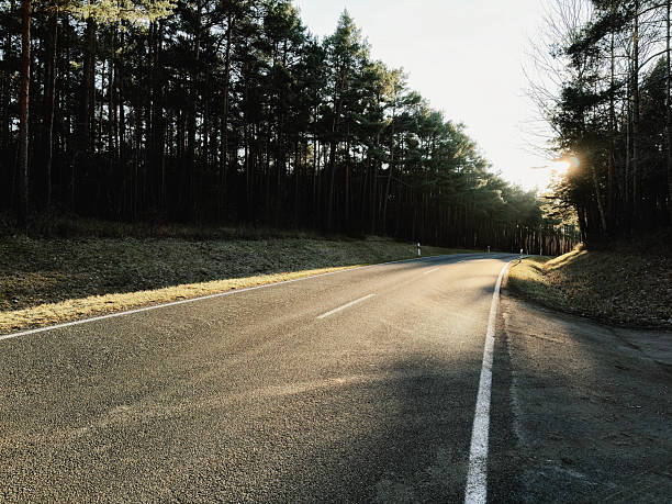 Scenic empty country road curving through a quiet forest at sunrise. Warm sunlight shines through the trees, creating a peaceful and inspirational atmosphere. This landscape travel scene represents freedom, journey, adventure, road trip, exploration, and new beginnings. Perfect for concepts such as future direction, choices, motivation, and transportation themes.