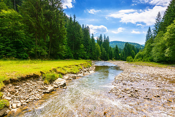 istock landscape with mountains, forest and a river in front 2253904666