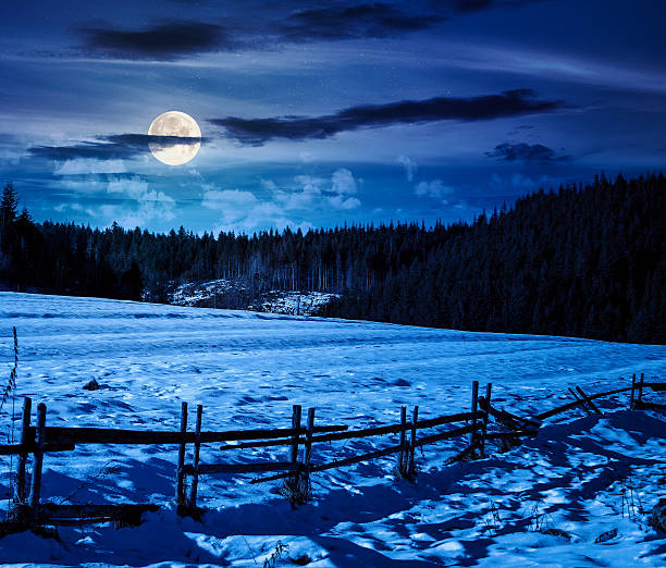 istock rustic wooden fence through snow covered hill at night 2253904691