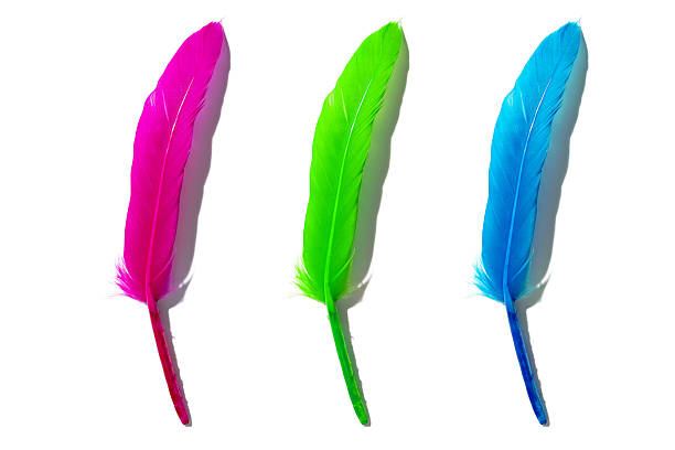 istock Bright Colorful Feathers Isolated on White Background 2253905744