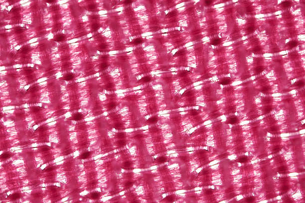 Extreme close-up of a pink translucent weave. Soft, glossy fibers intersect to form an airy grid pattern with bright highlights shining through the gaps.