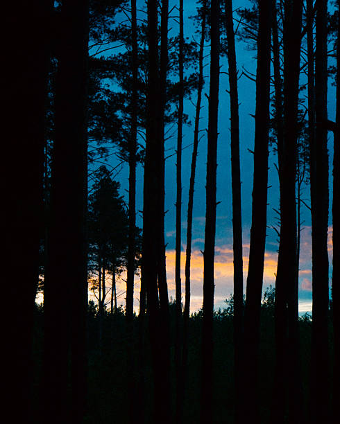 Sunset behind a fence looking over a mountain