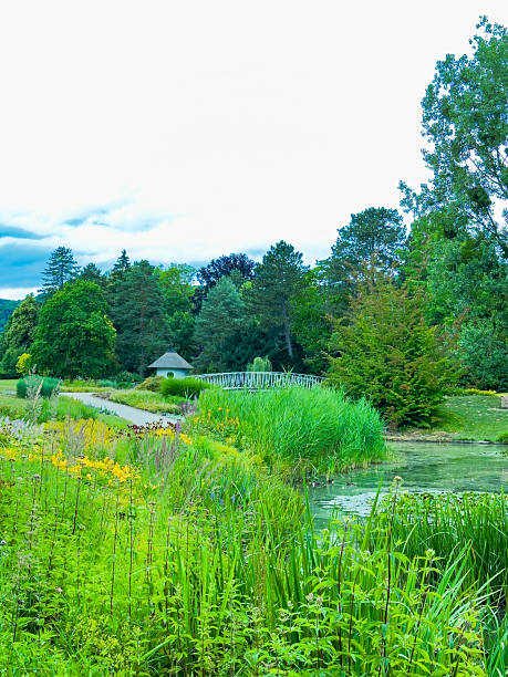 istock The Serene Landscape features a beautiful Pond set amid Lush Greenery within a Tranquil Park where visitors can enjoy relaxation, exploration, and peaceful outdoor activities on natures canvas 2253913309