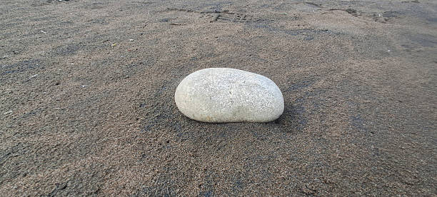 istock Smooth gray stone resting on dark sand beach 2253915116