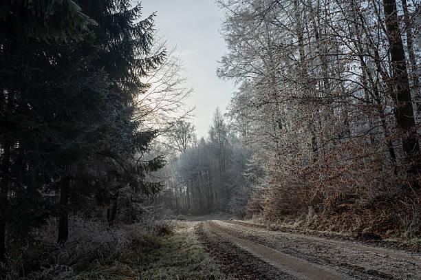 A photo of winter landscape in Danmak