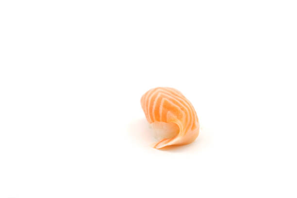 Tasty Pieces of sushi on white background