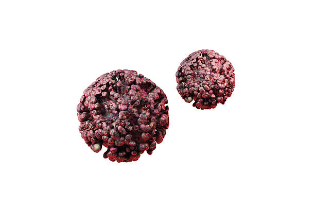 istock 3d Coronavirus particle virus with red spike protein on red surface, close up view of virus structure icon, detailed viral infection concept with digital illustration and dark background. 3d render. 2253921919