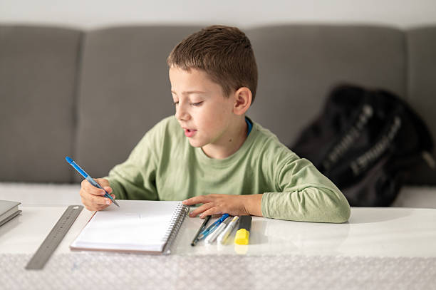 istock Concentrated young schoolboy writing in his notebook at home 2253925248