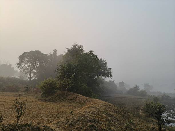 istock A serene landscape captured in a thick morning mist. 2253928015