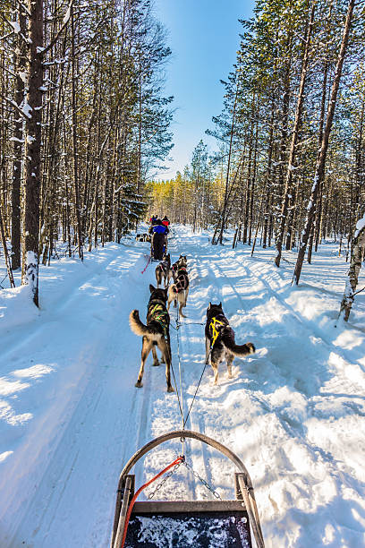 istock The winter polar sun 2253931828