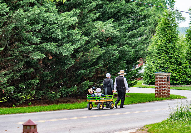 Yucatan, Mexico - July 20, 2013: Mennonite brothers waiting peacefully by their horse pulled carriage for his parents to take them back.