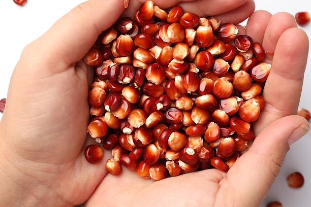 Woman with ripe red corn kernels at white table, top view