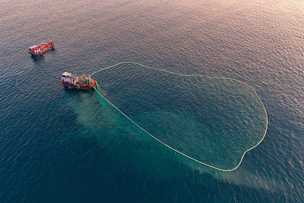 istock Netting fish on Nha Trang sea 2253939990