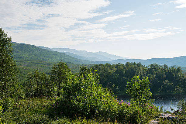 istock Different shades of gray in the mountains. 2253940034