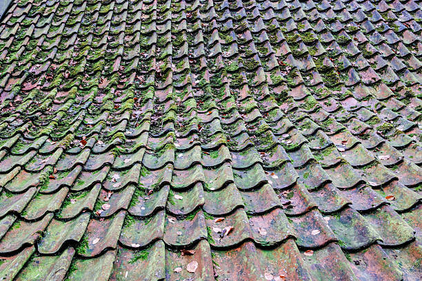 Clay Roof Tiles and Moss