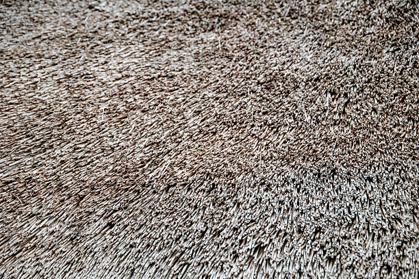 Thatched roof top texture. Suitable for background