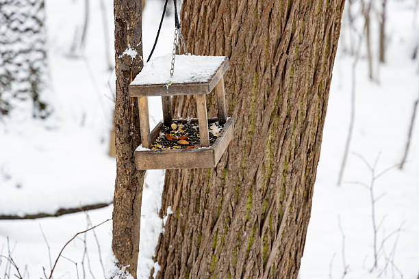 a rustic wooden bird feeder filled with seeds hangs from a tree trunk in a snow-covered forest