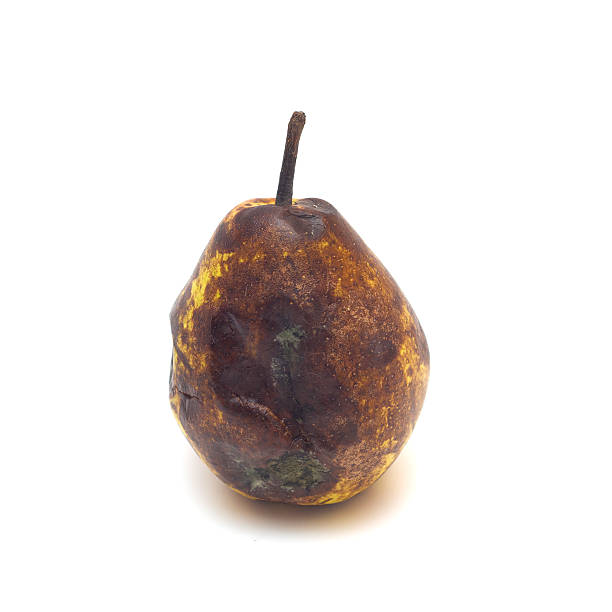 istock Rotten pear isolated on white background. 2253946514