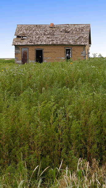 istock Abandoned Farmhouse on the Panhandle 2253947288