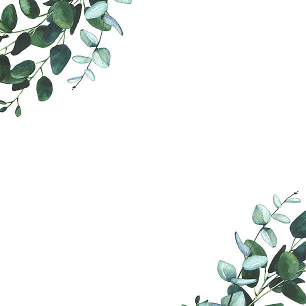 istock Watercolor hand painted green, blue, turquoise eucalyptus twigs and leaves wreath frame. Floral template design 2253949190