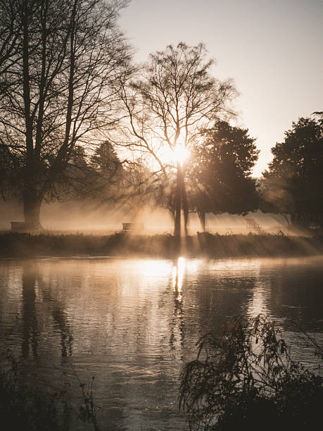 istock Golden sunrise through trees over misty river in winter 2253952923