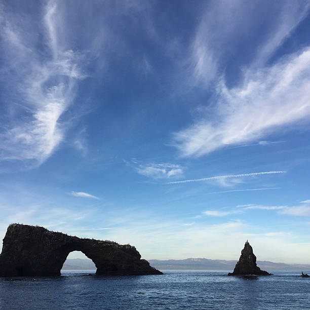 A Flock of Seagulls spends an afternoon on Anacapa Island.