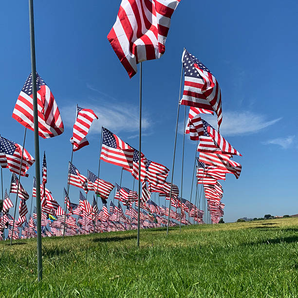 istock Field of Flags, Close-up 2253954370