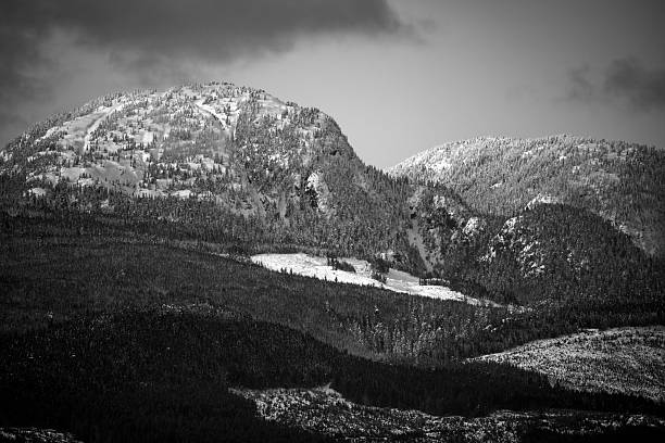 SNOW LANDSCAPESnature is covered in white in winter, lakes, mountains, trees, forests are covered with a white blanket.snow trips, animal husbandry, road, path, transportation difficulty, cold, ice, blizzard,