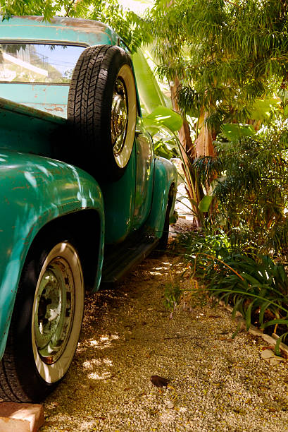 Vintage F 100