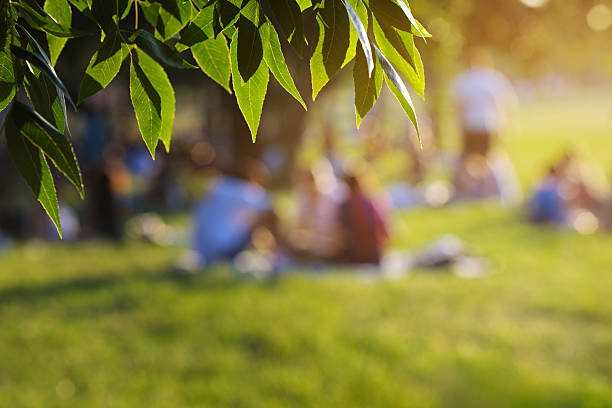Sunlit bokeh framing blurred people enjoying a joyful afternoon in the park at sunset.