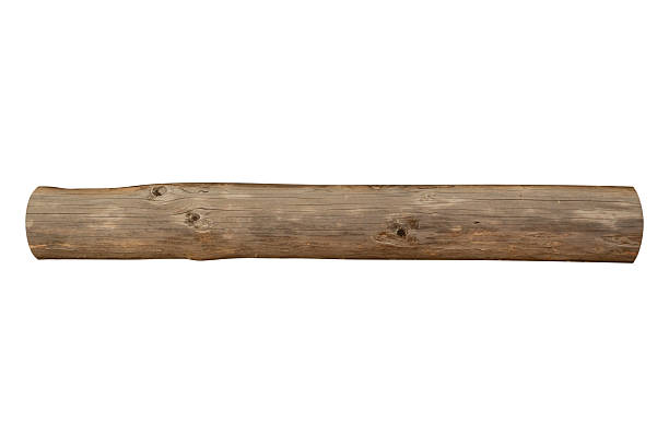 Old wooden log with knots is isolated.