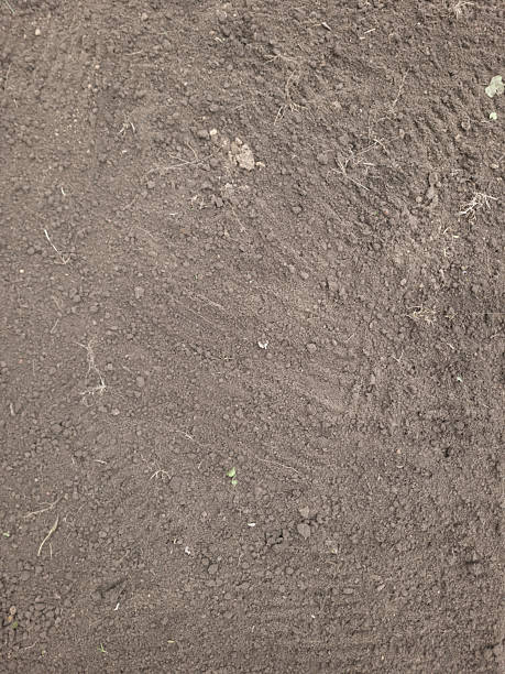 istock Brown cultivated soil surface with small clods and roots. 2253960474