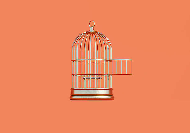 Gold colored metal birdcage before orange background. Horizontal composition with  copy space.