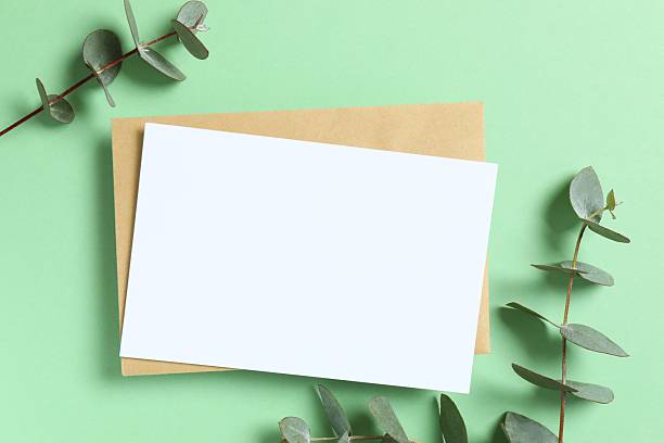 istock Greeting card mockup with envelope and eucalyptus branches. Empty greeting card for text design 2253966775