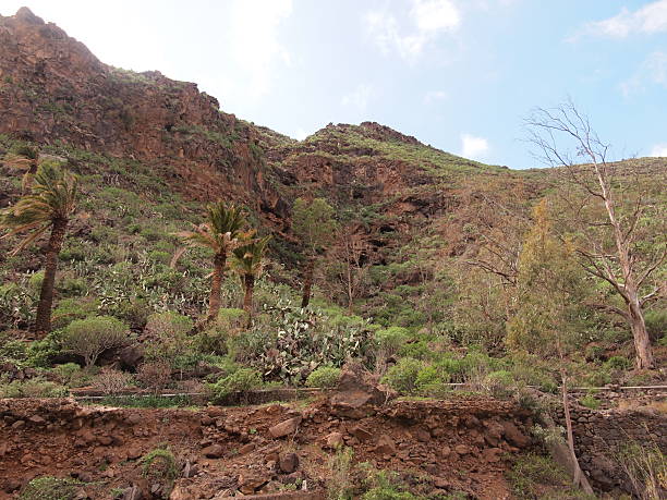 istock Barranco de Guayadeque (Ingenio, Gran Canaria, Province of Las Palmas, Kingdom of Spain) 2253966843