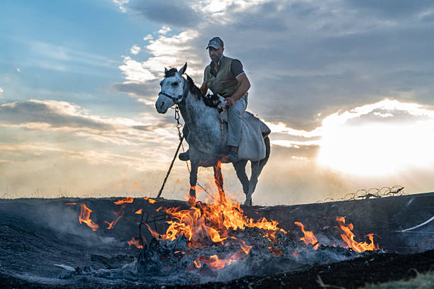 istock Farmer working with his horse at sunset 2253972115