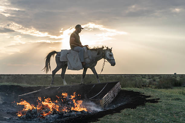 istock Farmer working with his horse at sunset 2253972121