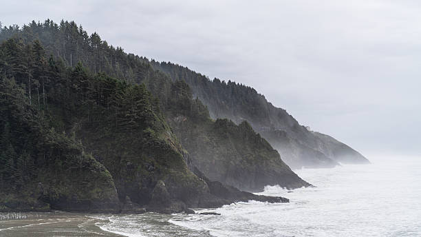 istock Misty Oregon Coastline 2253972761