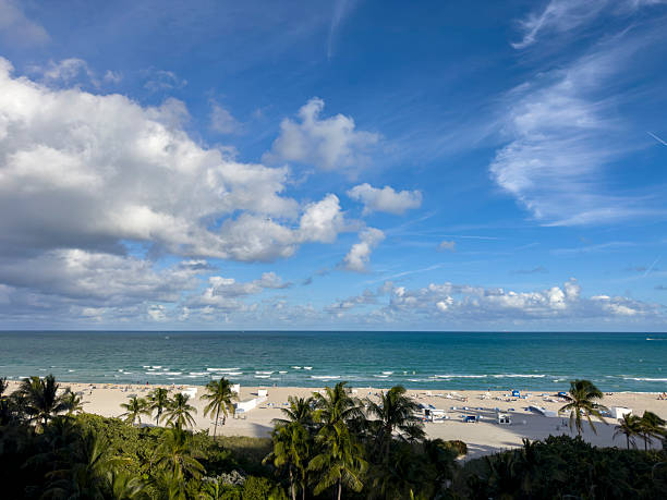 Wide panoramic view of Miami Beach, Florida, featuring a sandy shoreline lined with palm trees, turquoise Atlantic Ocean waters, and gentle waves rolling toward the coast. The scene is framed by a bright blue sky filled with scattered white clouds, conveying a relaxed tropical atmosphere. Beach umbrellas, lounge chairs, and distant beachgoers add subtle lifestyle context while maintaining a clean, open composition.
