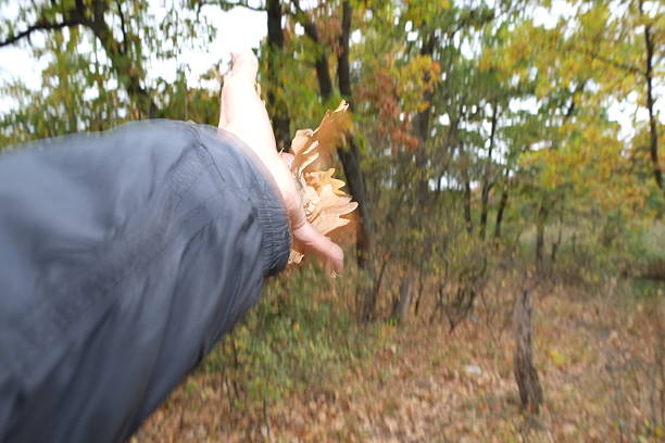 Autumn man's hand points to yellow tree leaves visible objects hiking in the forest man throwing leaves up 1