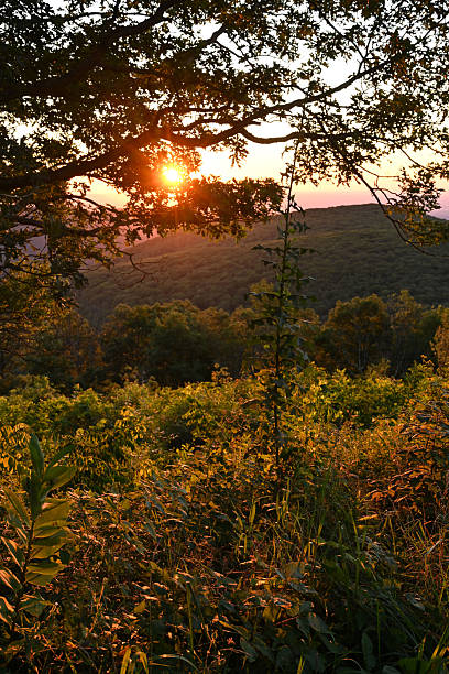 istock Shenandoah National Park 2253976038