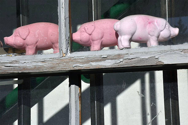 istock Toy Pigs On A Window Ledge 2253978288