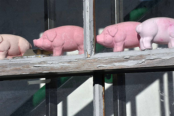 istock Toy Pigs On A Window Ledge 2253978289