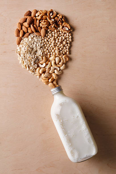 Vegan non-dairy milk concept
