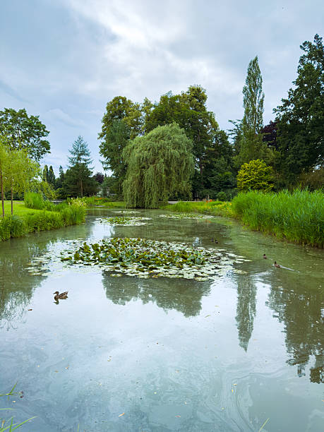 istock Tranquil Reflections A serene pond amid lush greenery and willows beneath a cloudy sky invites calmness and contemplation, making it an idyllic escape for reflection and rejuvenation 2253978493