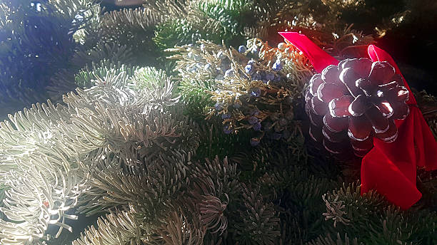 Simplicity of Festive Greenery of Fresh Juniper boughs touched by frost. Red Ribbon and Pine Cone. Full frame.