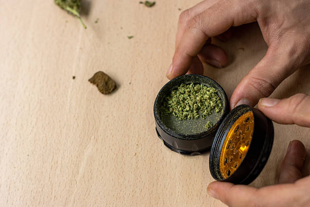 istock Hands grinding medical cannabis in herb grinder 2253983577