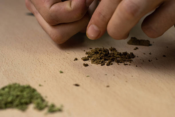 istock Hands preparing hashish and marihuana on a wooden table 2253983579