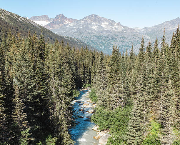 A river running through the landscape of Skagway Alaska